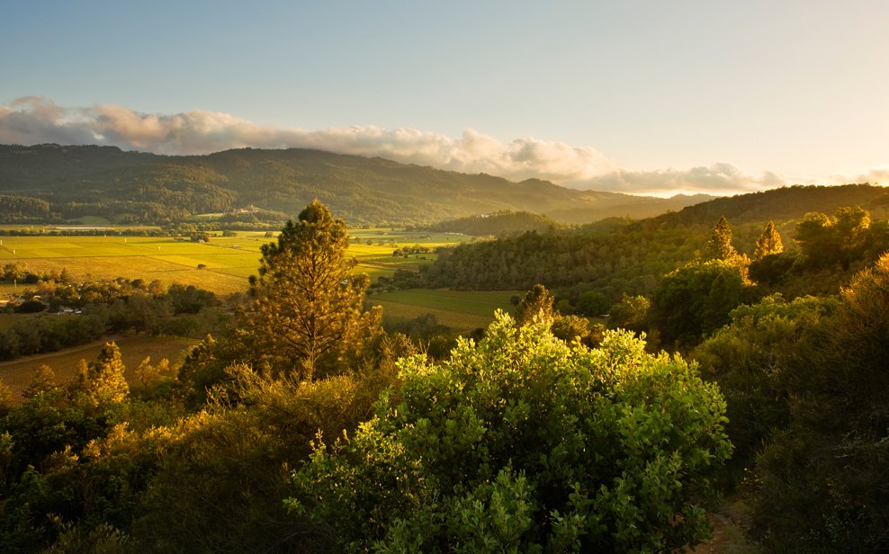 纳帕谷 Calistoga Ranch 度假村丨JCA 团队-12