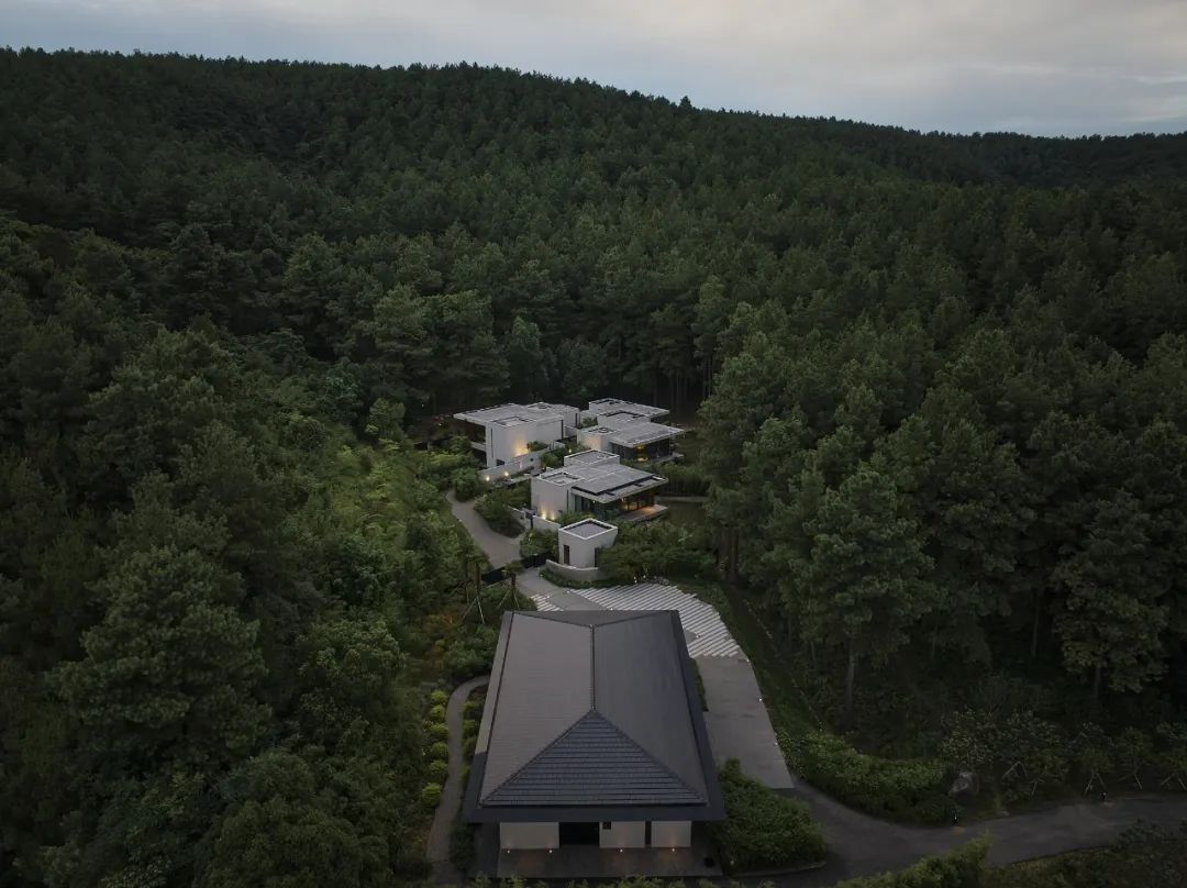 山谷松林里的隐世秘境之旅｜PrivateJourneyinthePineryValley-0