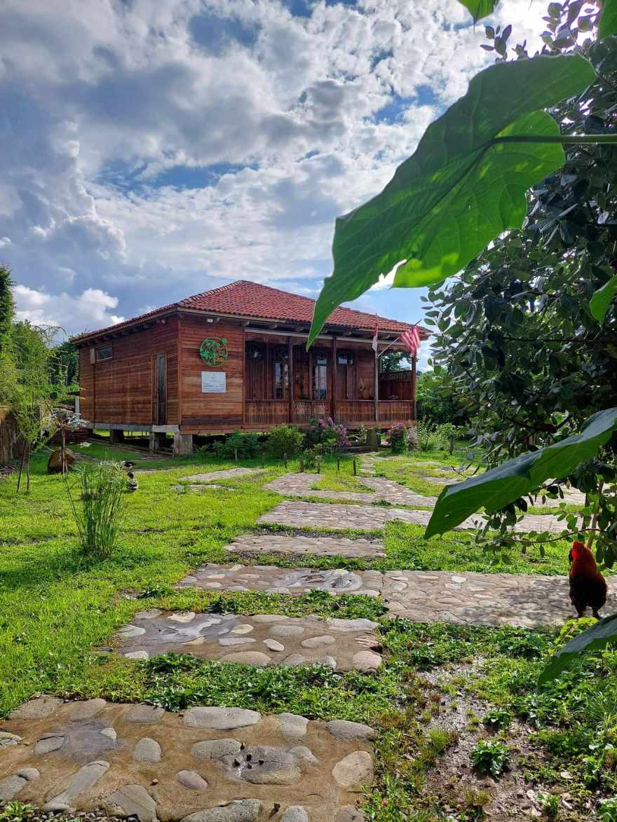 “სკიჯის სახლი”生态旅游项目-30