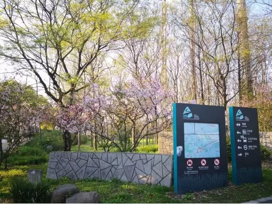 上海市宝山区城市绿色步道-72