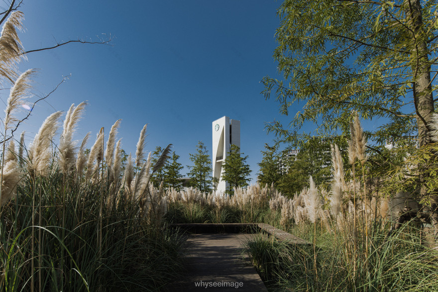 上海临港星空之境公园同观廊,旋星塔,羽旋桥丨中国上海丨上海中森止境设计工作室-26