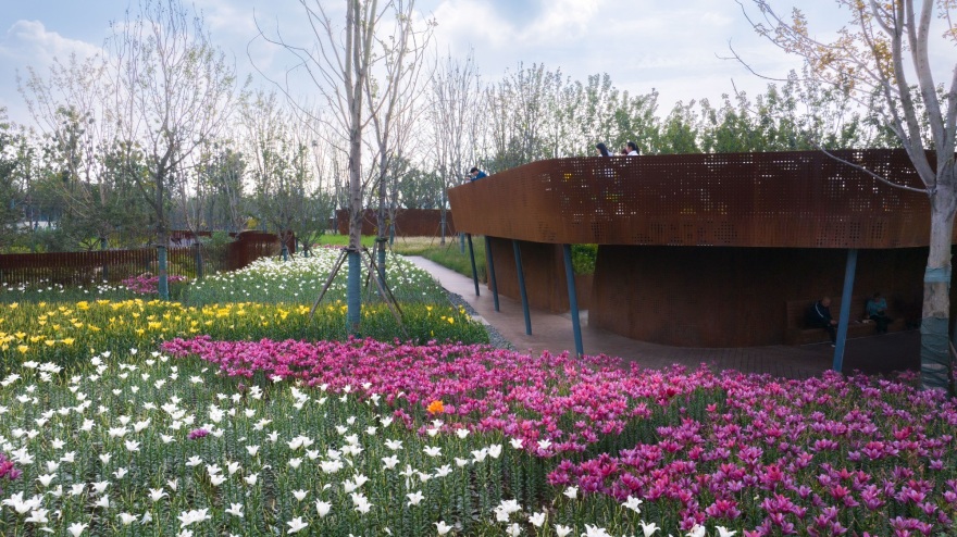 第十四届中国(合肥)国际园林博览会项目百花园设计丨中国合肥丨北京多义景观规划设计事务所,北京林业大学园林学院-41