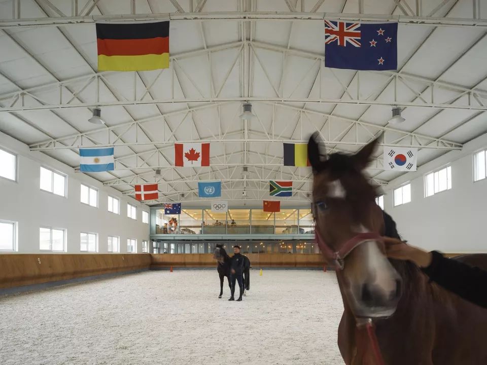 大料建筑新作首发 · 1座1万平米的“巨马”-51