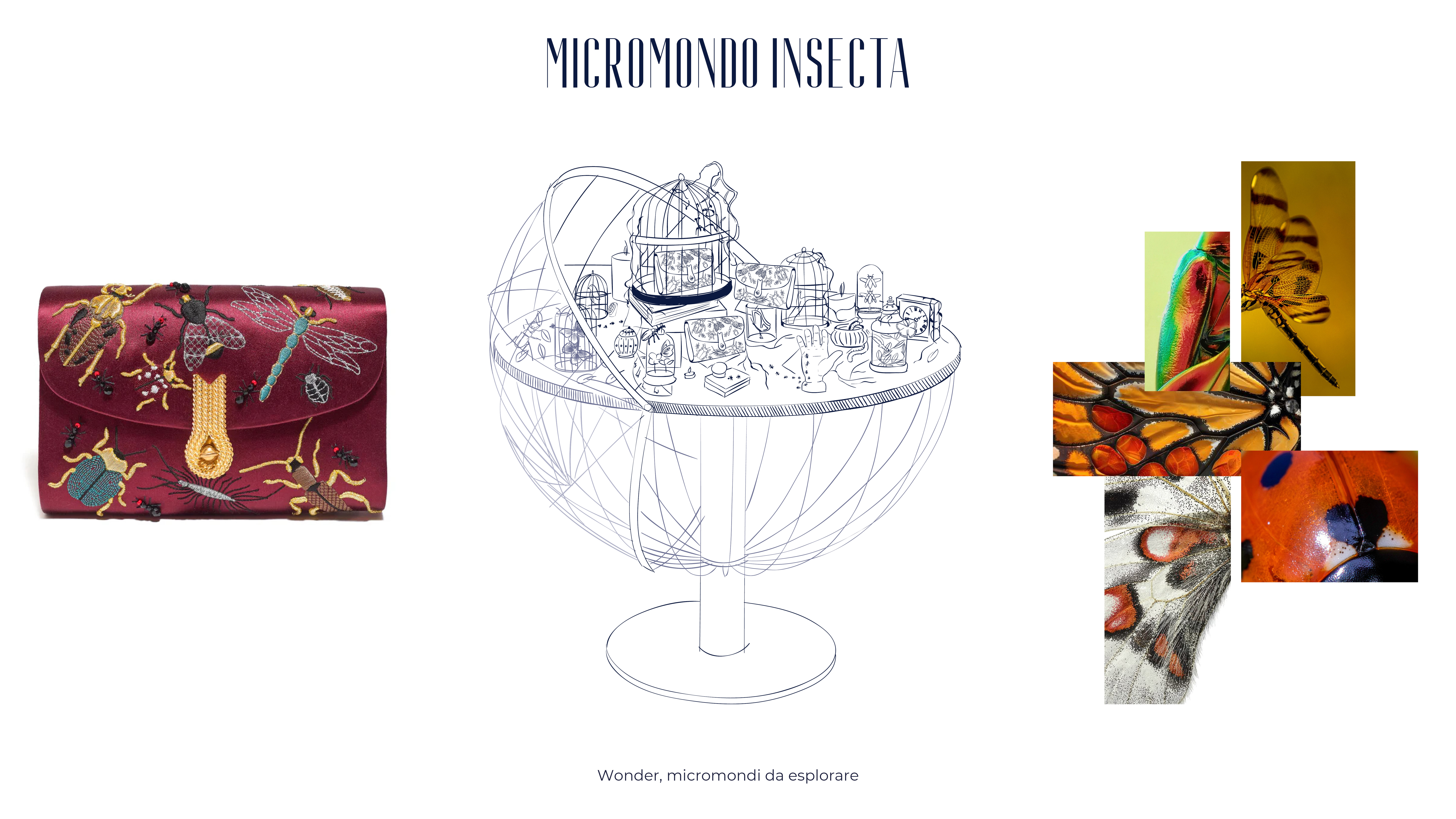 Wonder, Micromondi da esplorare-24