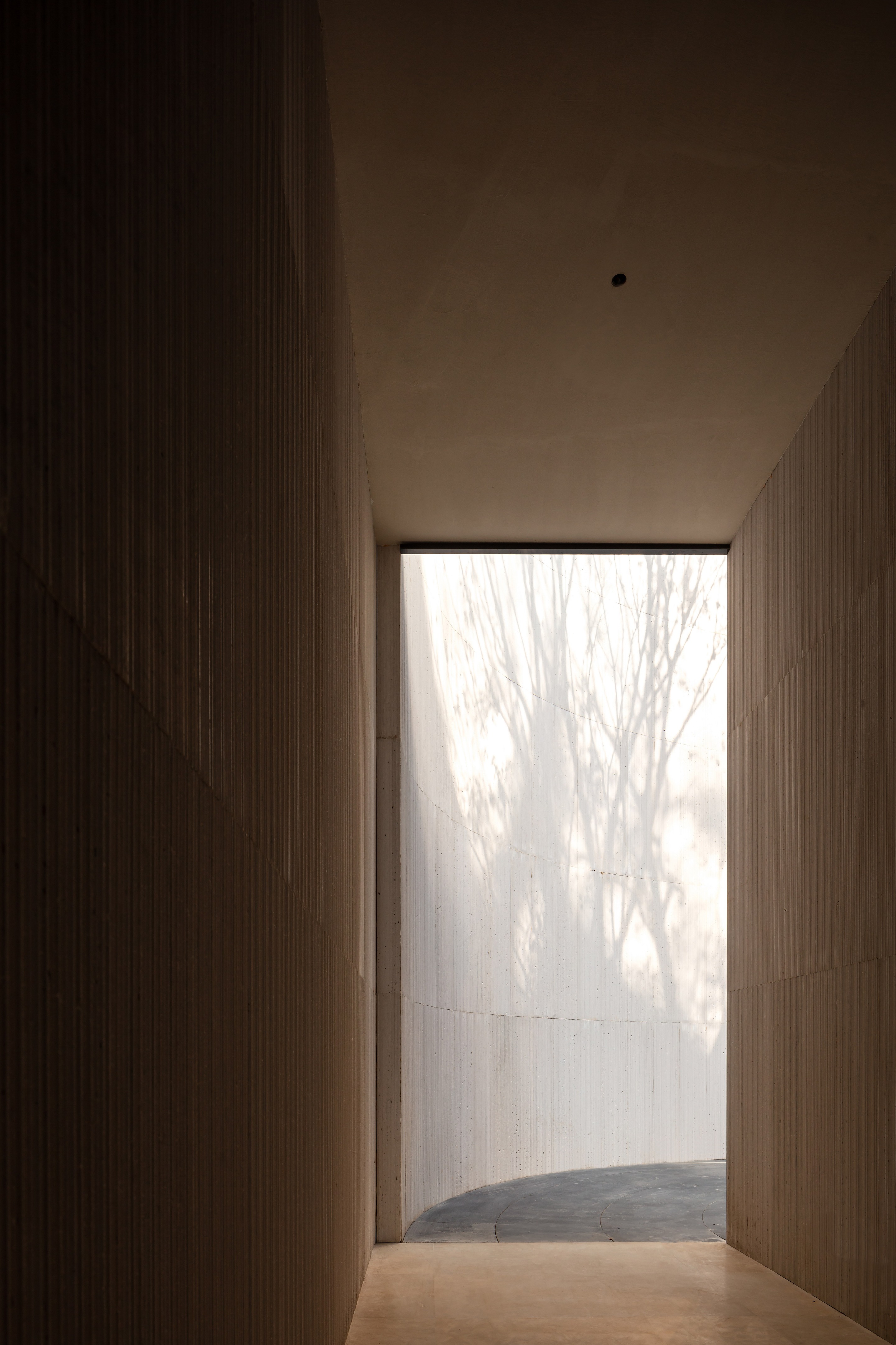 湖畔茶香,寻觅世外桃源-57