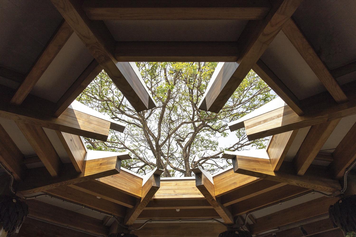 Toca do Urso · 绿色可持续的创新酒吧设计-8