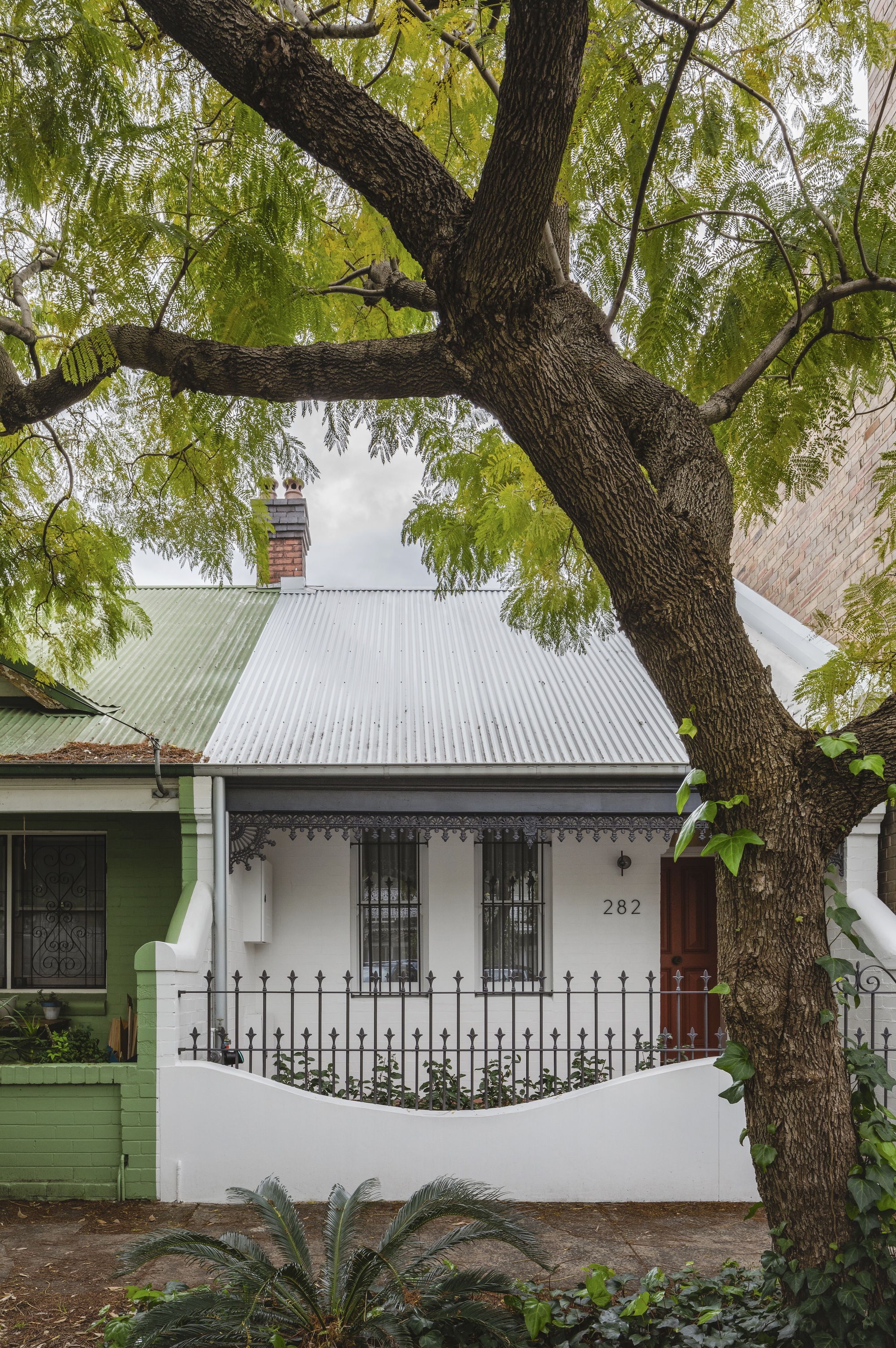 树岛屋丨澳大利亚悉尼丨Carter Williamson Architects-39