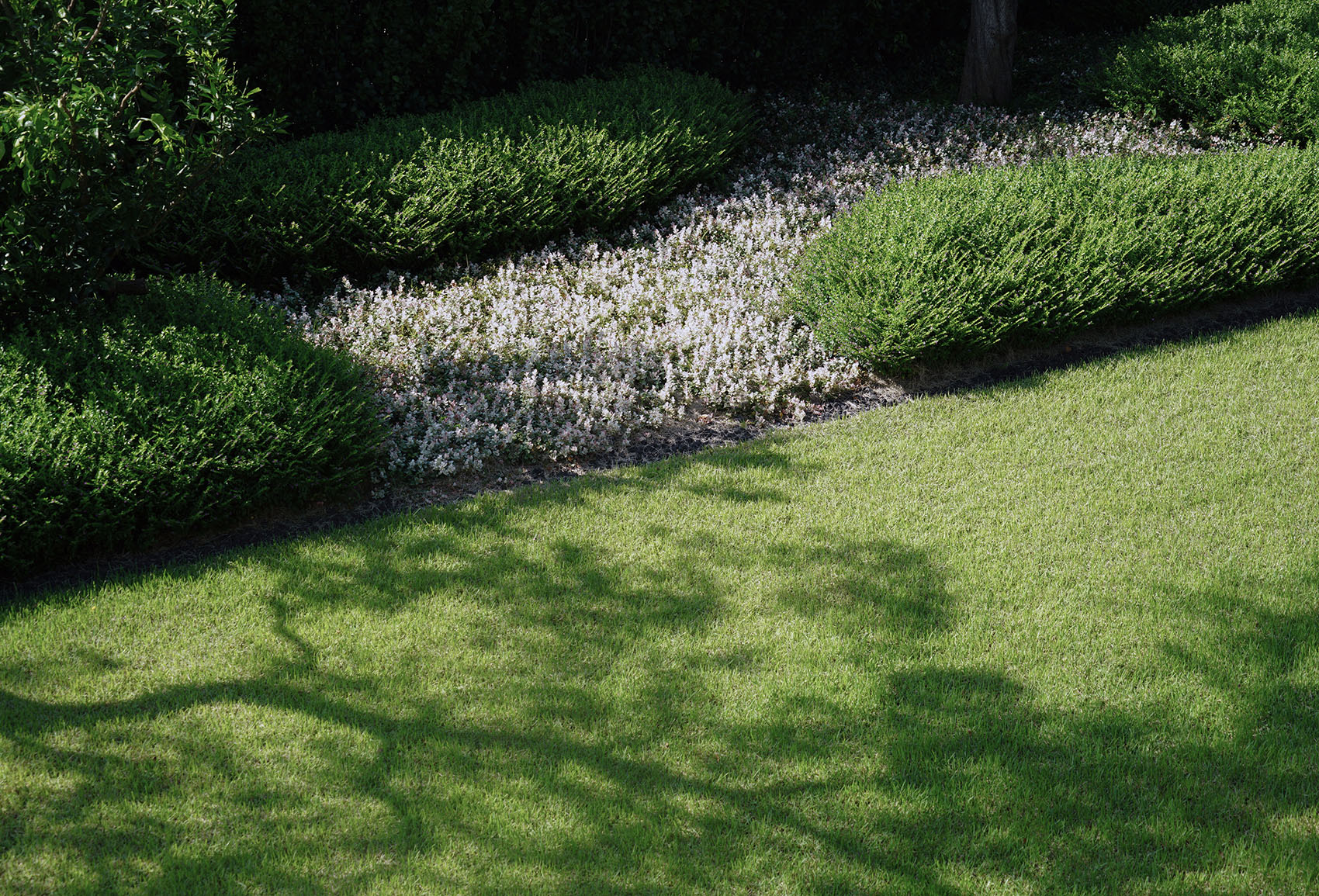 西湖高尔夫别墅丨中国杭州丨杭州时上建筑空间设计事务所&杭州玖鹿景观设计-75