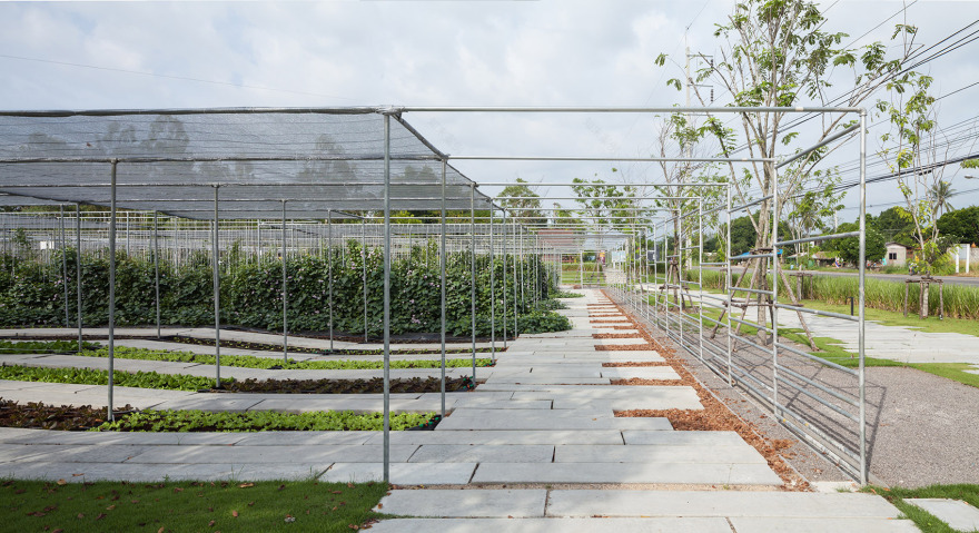 都市农场,泰国 / Integrated Field Co.,Ltd.-65