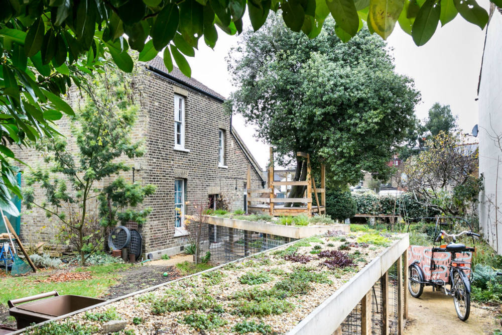 现代之家 | 伦敦莱顿斯通的温馨圣诞设计-5