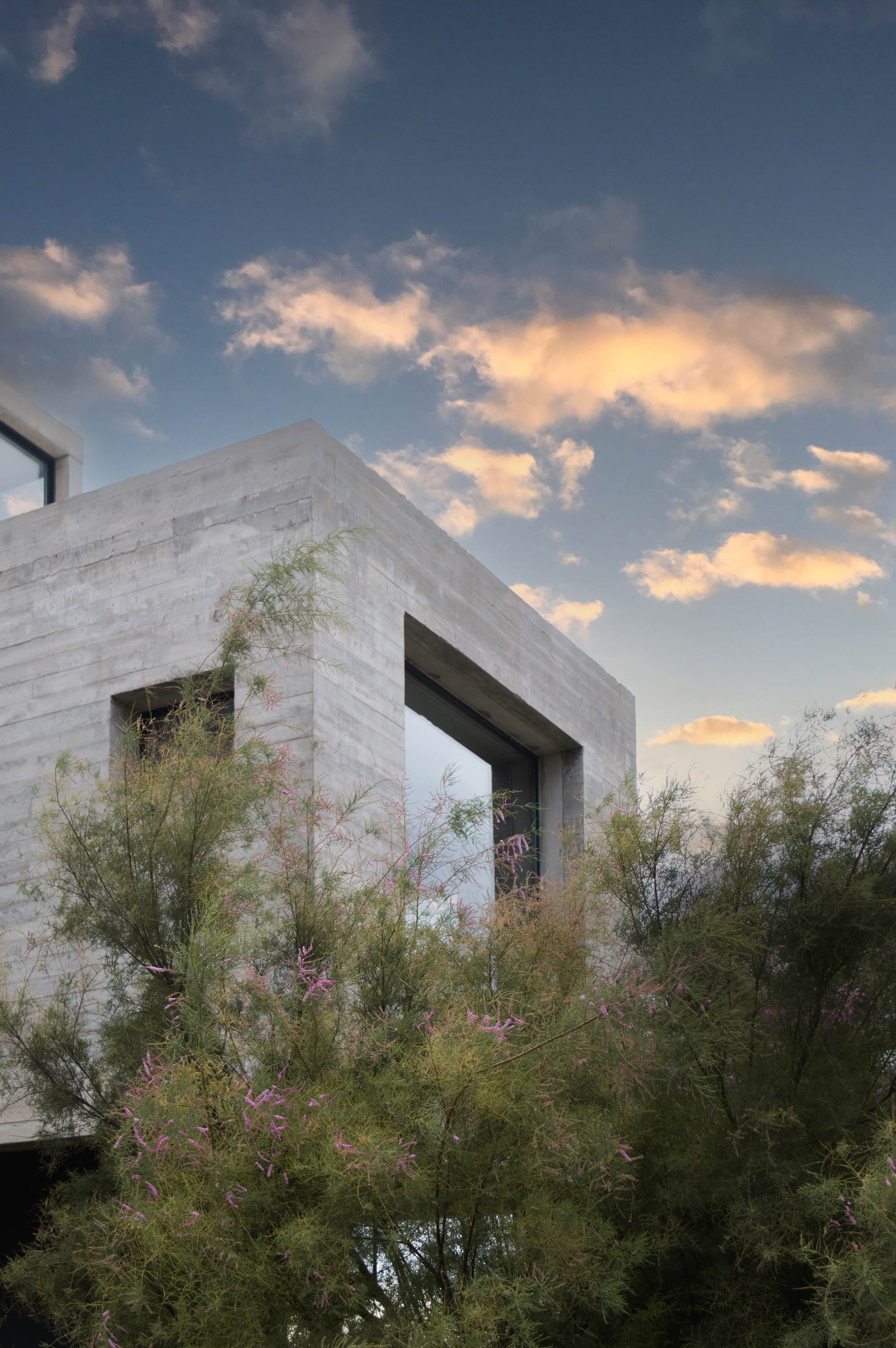 米拉多尔住宅丨阿根廷马德普拉塔-34