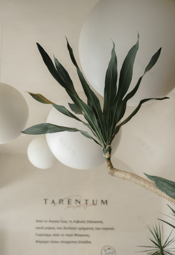 TARENTUM 萄木·Café BAR丨中国深圳丨RBD-14