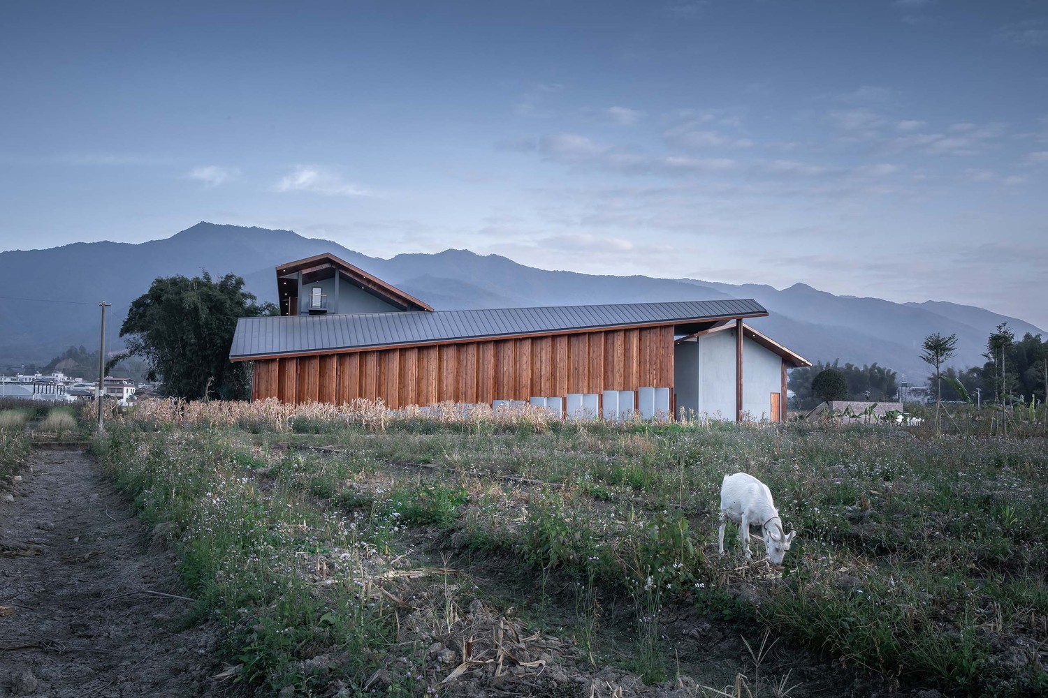 粤东乡村的“蛟龙”小屋-13