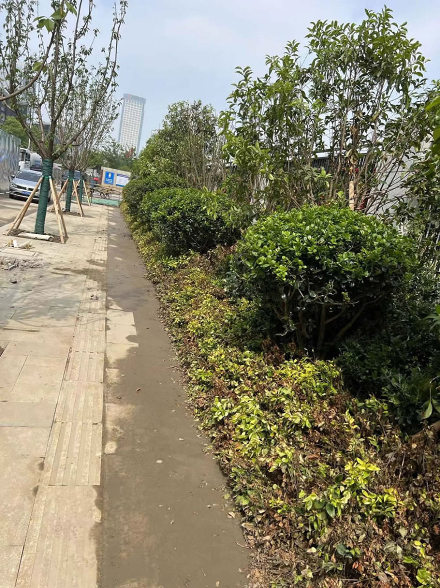 扬州天月府住宅小区丨中国扬州丨江苏华建集团旗下扬州华腾置业有限公司-36