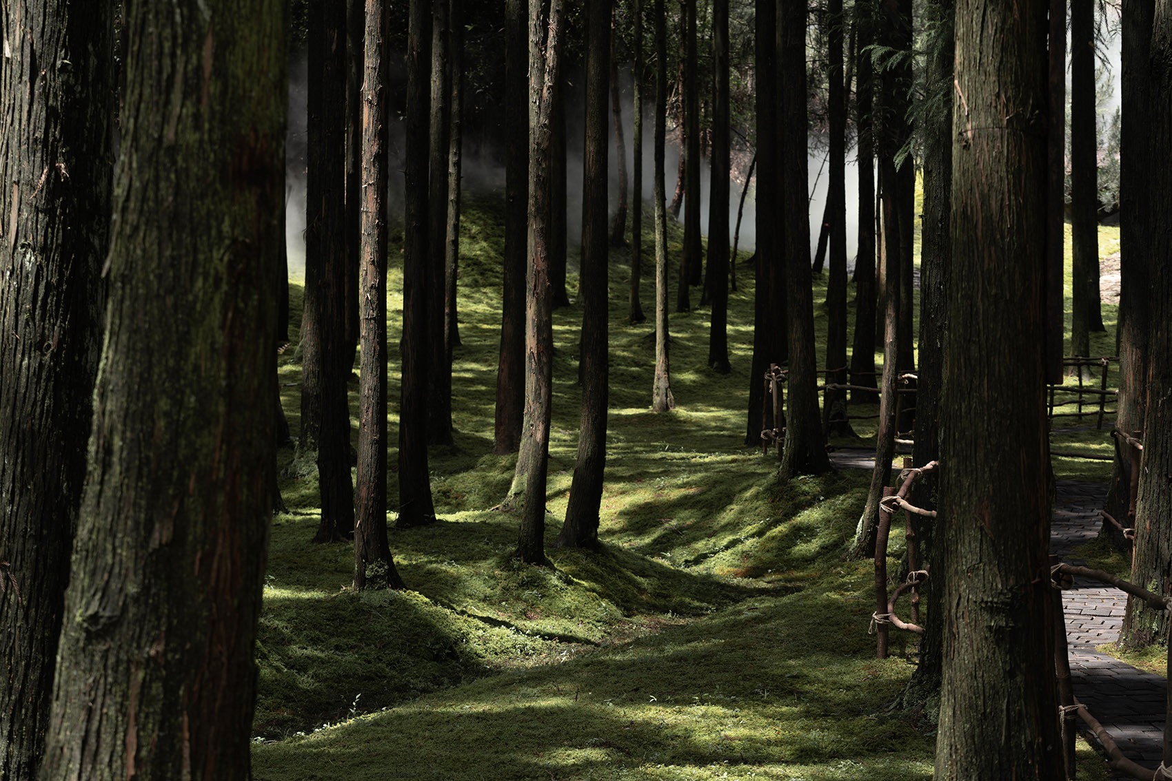 MOJ 森林咖啡丨中国温州丨杭州偲所设计-11