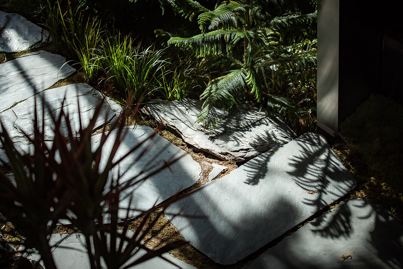 嘉兴种子艺术中心植物园丨中国嘉兴丨上海蛮石文化创意有限公司-61