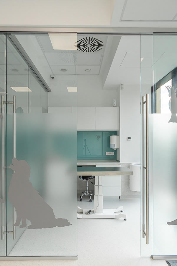 流动兽医丨罗马尼亚布加勒斯特丨Reflex Architecture-8