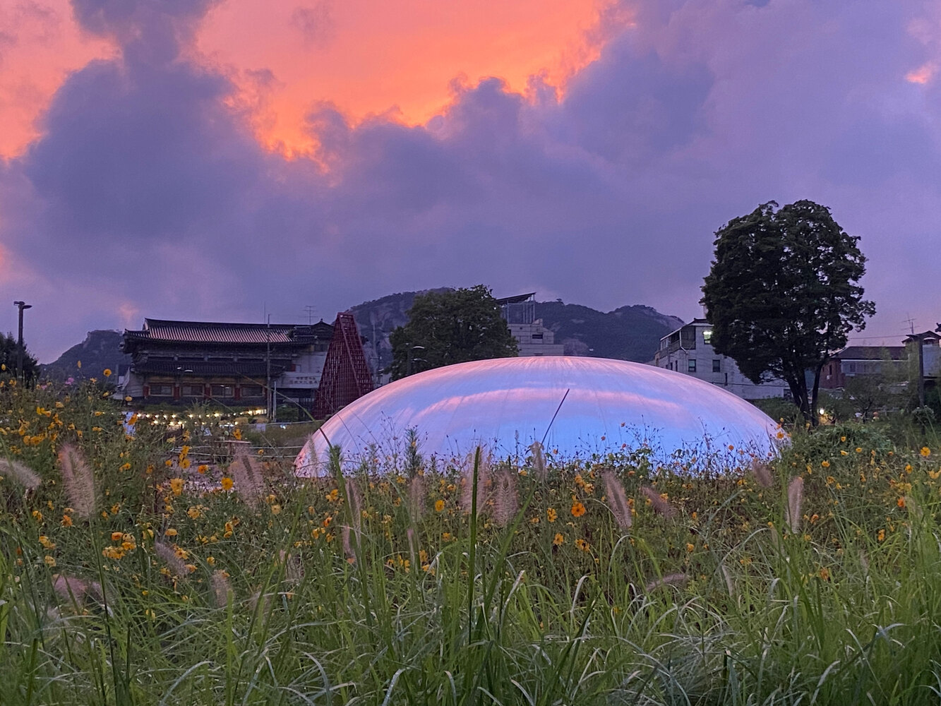 首尔历史宫殿旁的时空穿梭·"Trees & Traces"装置艺术丨韩国首尔-16