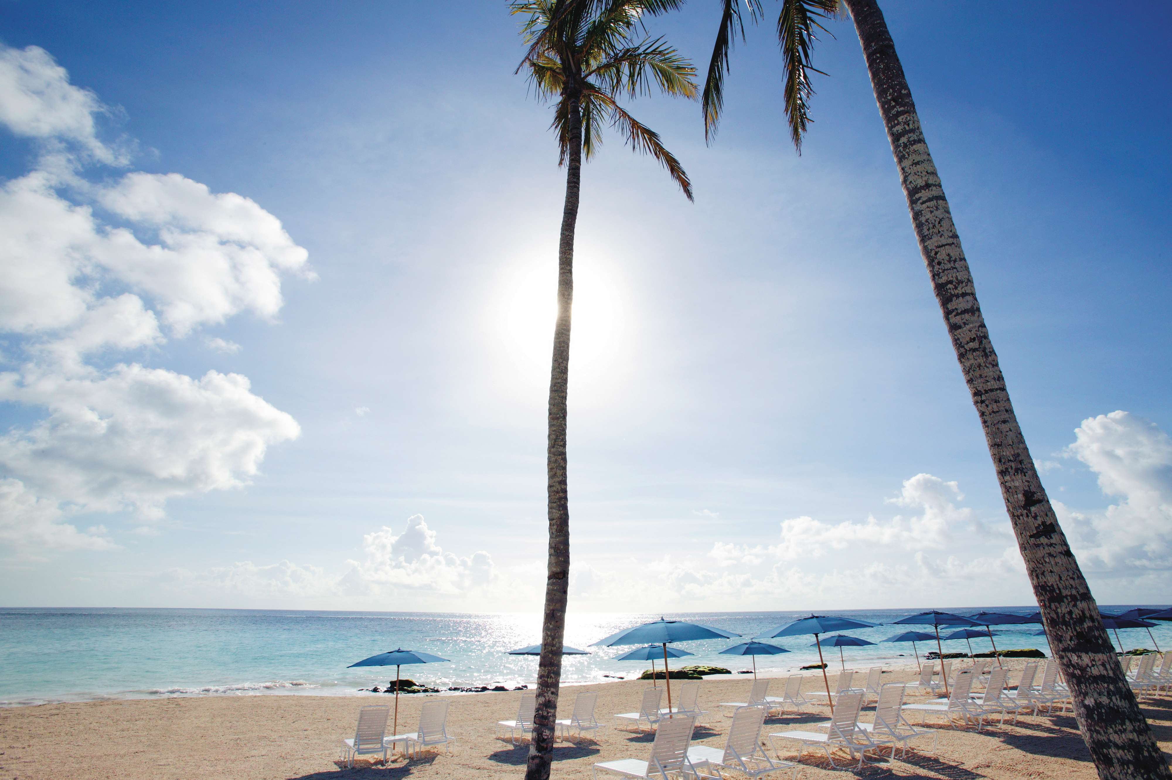 百慕大文华东方酒店-8