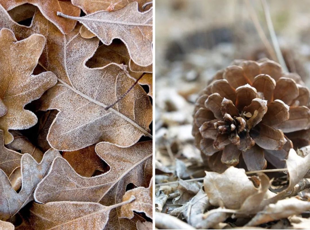 杭州“果果家”办公室设计 | 秋天果实的温暖与现代空间融合-11