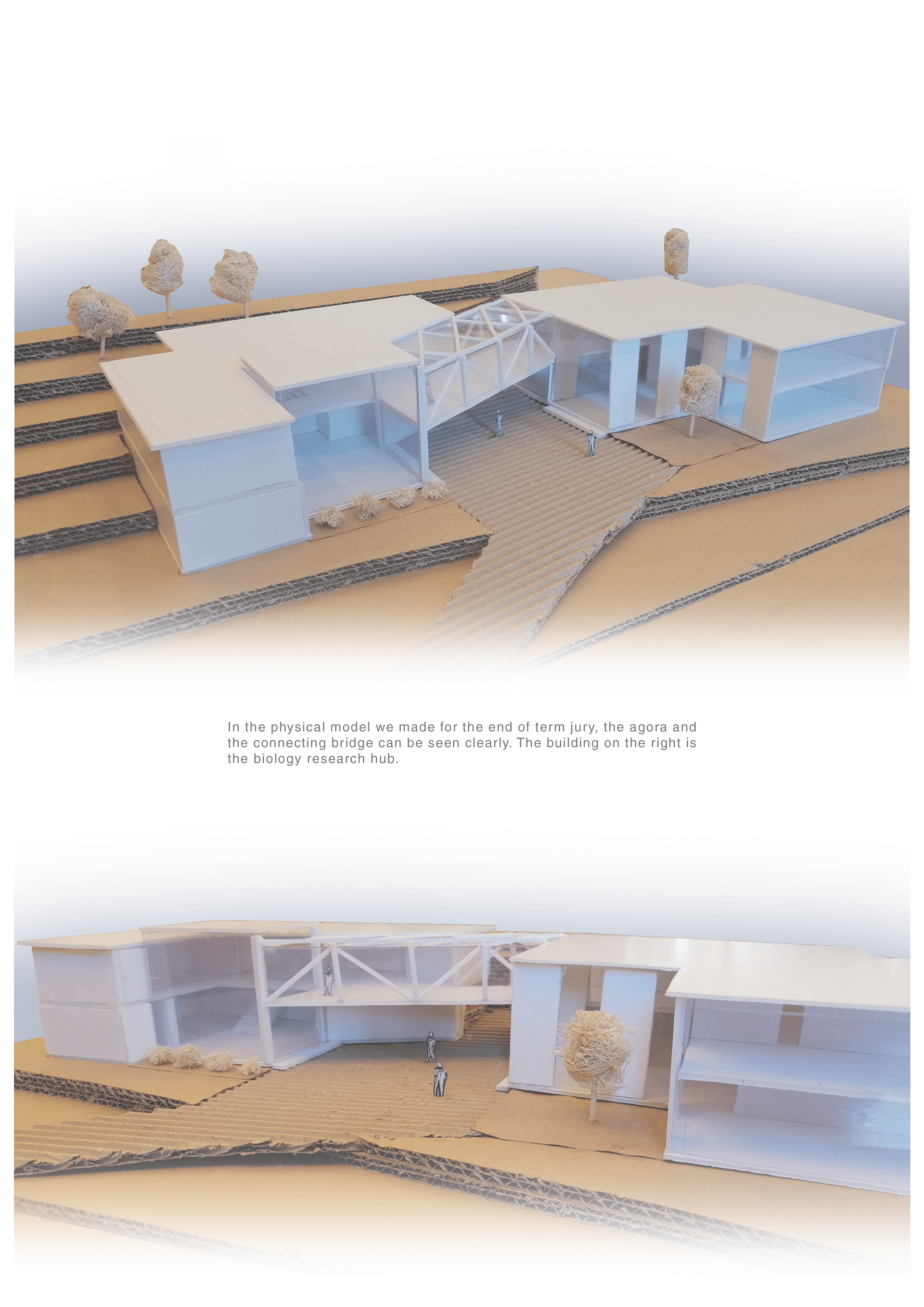 Portfolio. II. Year Projects-23