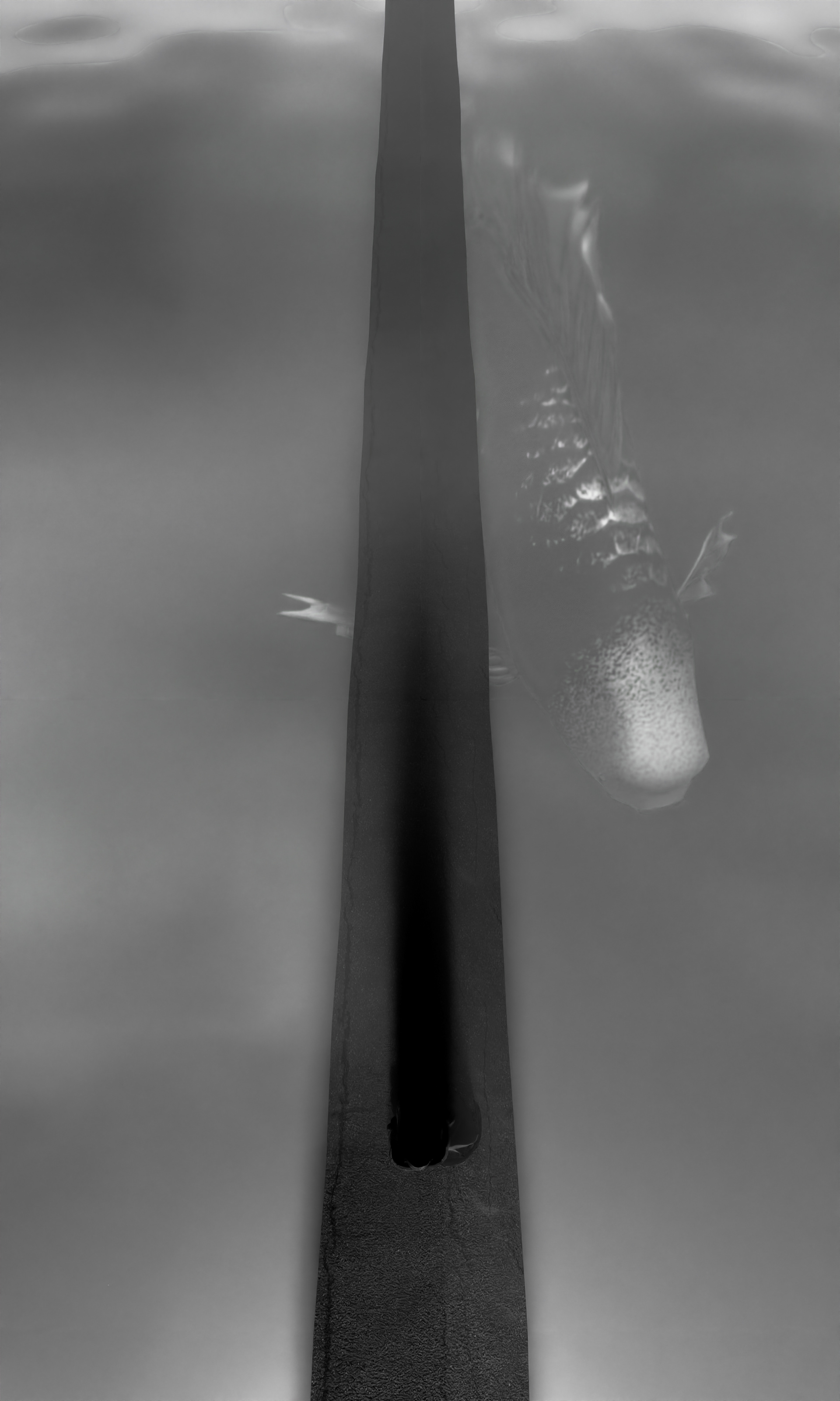 SEODAMHWA 3D MOTION-1