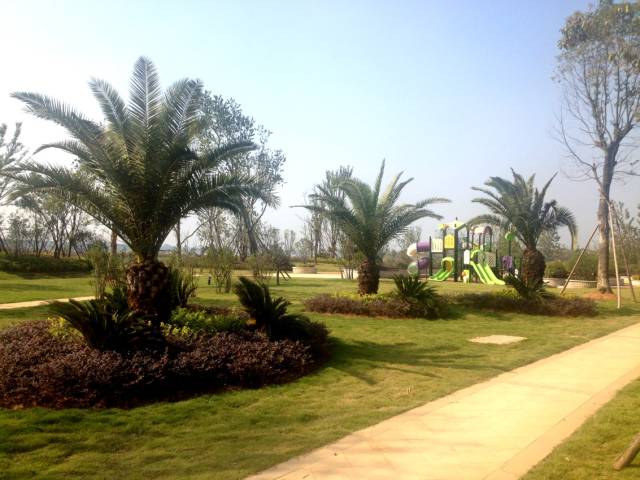 绿化设计中的地被放线手法与植物配置-108