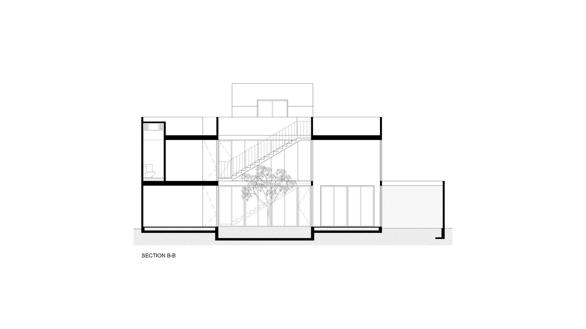 鲨鱼屋丨墨西哥丨TALC-19