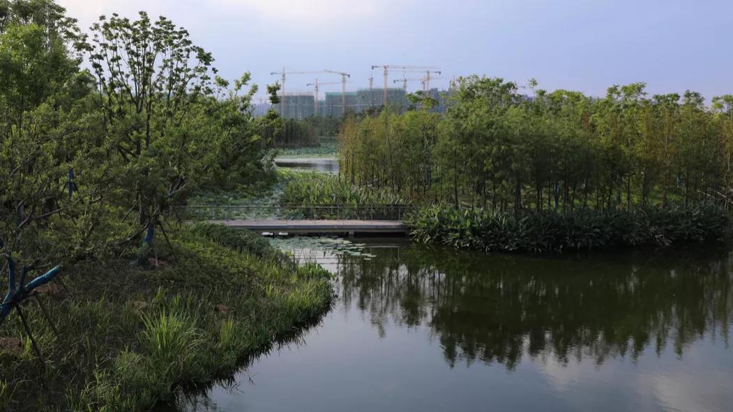 南通紫琅公园-19