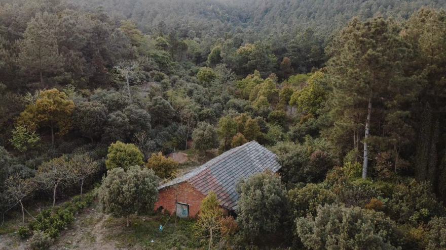 浙江红酒会所-4