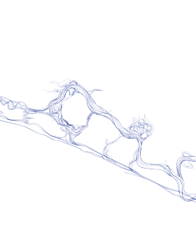 丨美国加利福尼亚