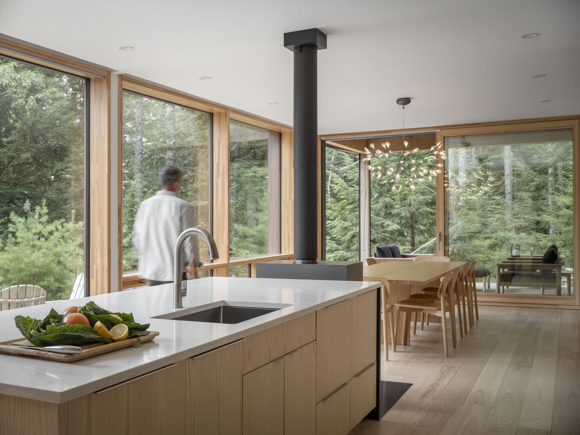 丨美国缅因丨OPAL-41