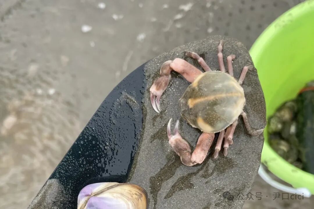 原舍岛屿系列｜躺平看海，把焦虑丢进太平洋。-37