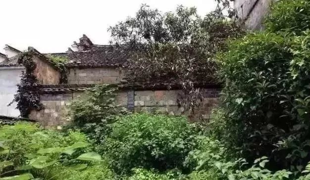 辞去工作,历时7个月,他们过上了有院子,有诗和远方的生活-47