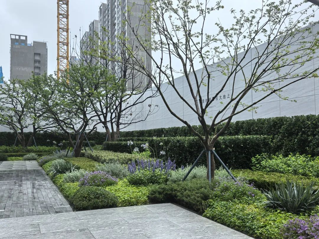 在蓝绿森境里，续写自然与轻奢的故事——华润置地时代之城二期花境-37