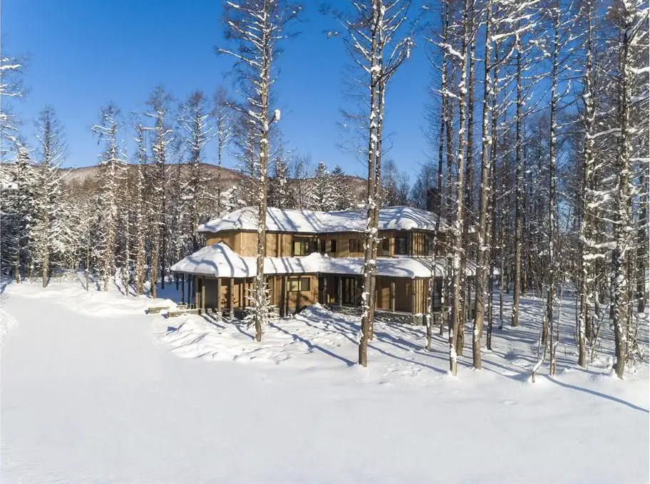 日本山林中传统与现代结合的别墅设计-15