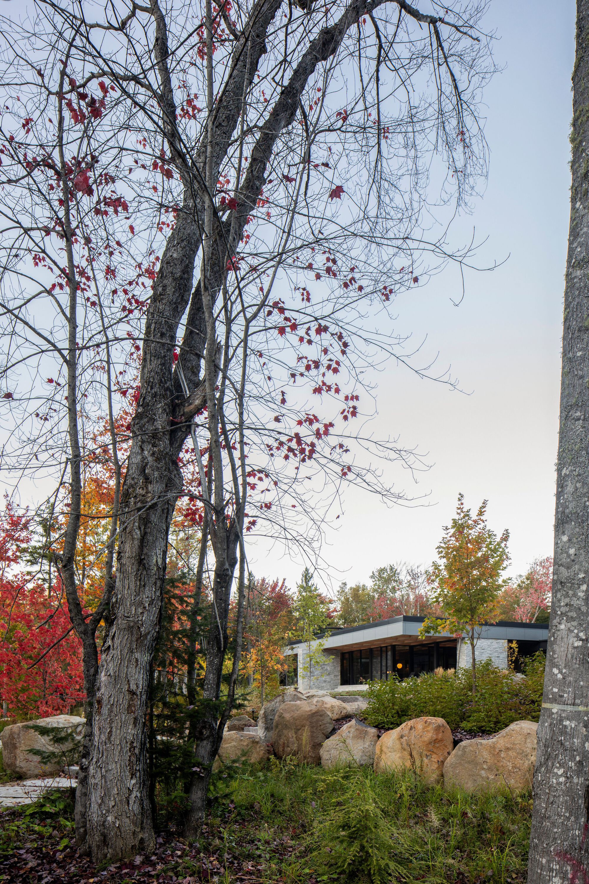 丨加拿大丨ACDF Architecture-9