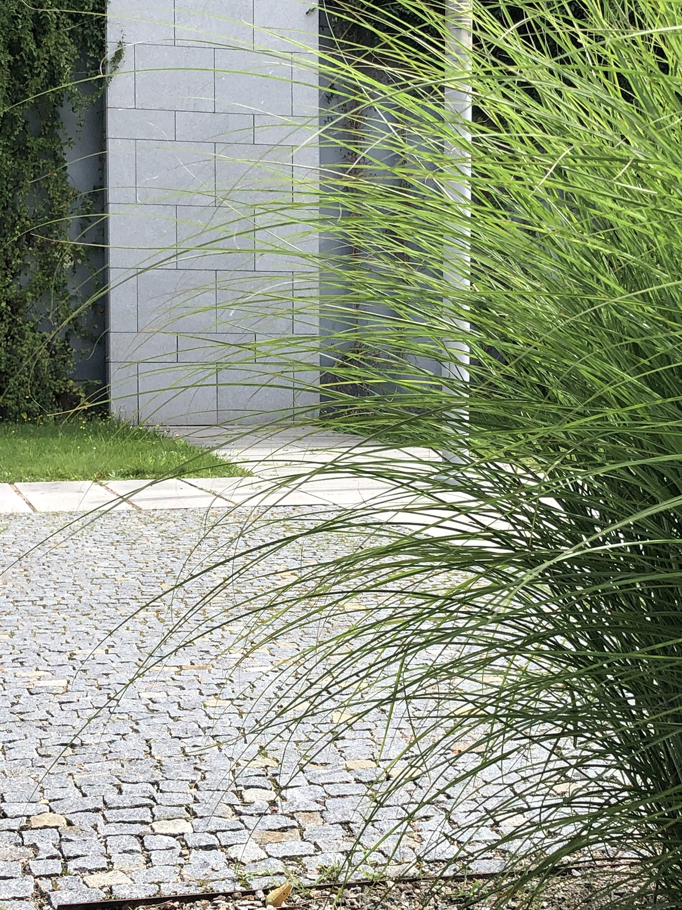 Urban Photography Challenge-4