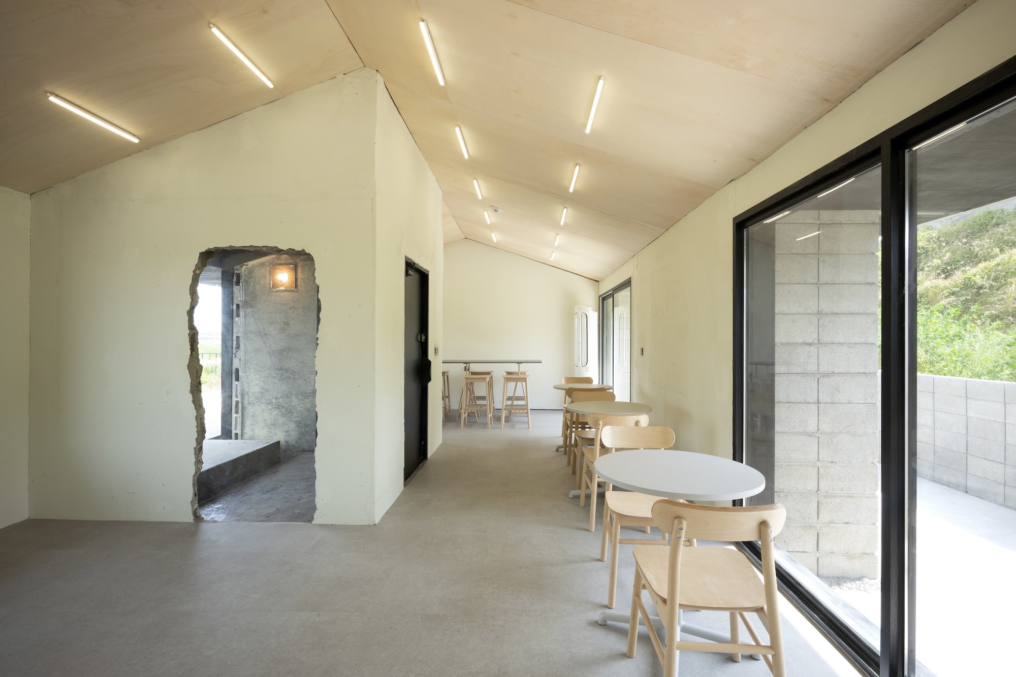 寿美屋丨韩国丨TCA-17