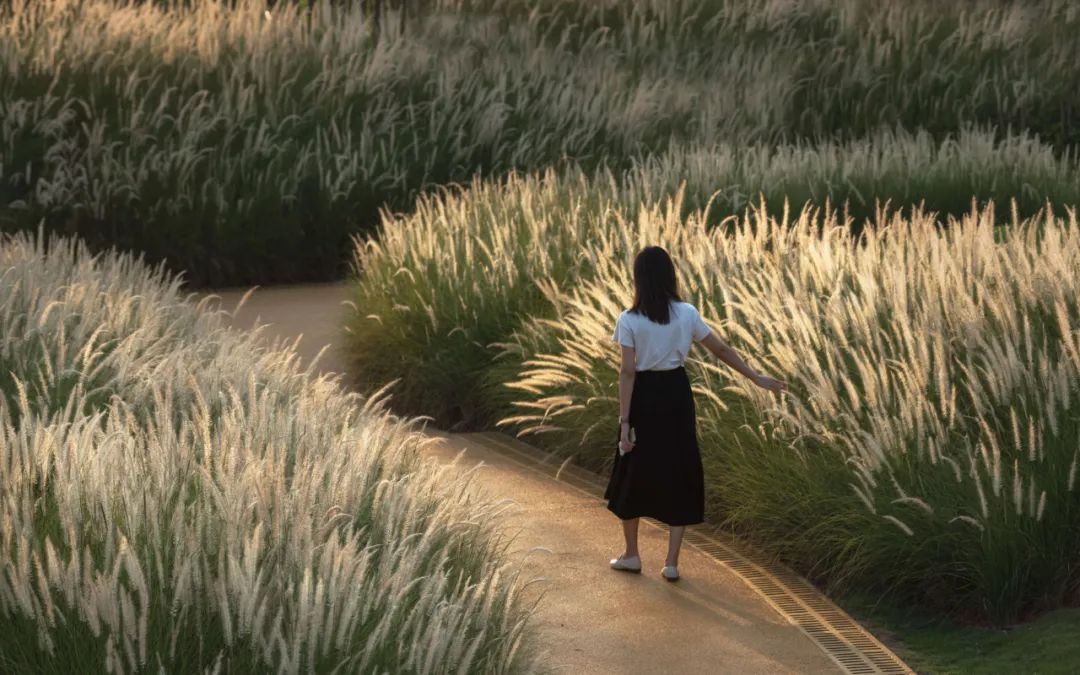 广州御溪世家 | 花城盛景的现代演绎-109