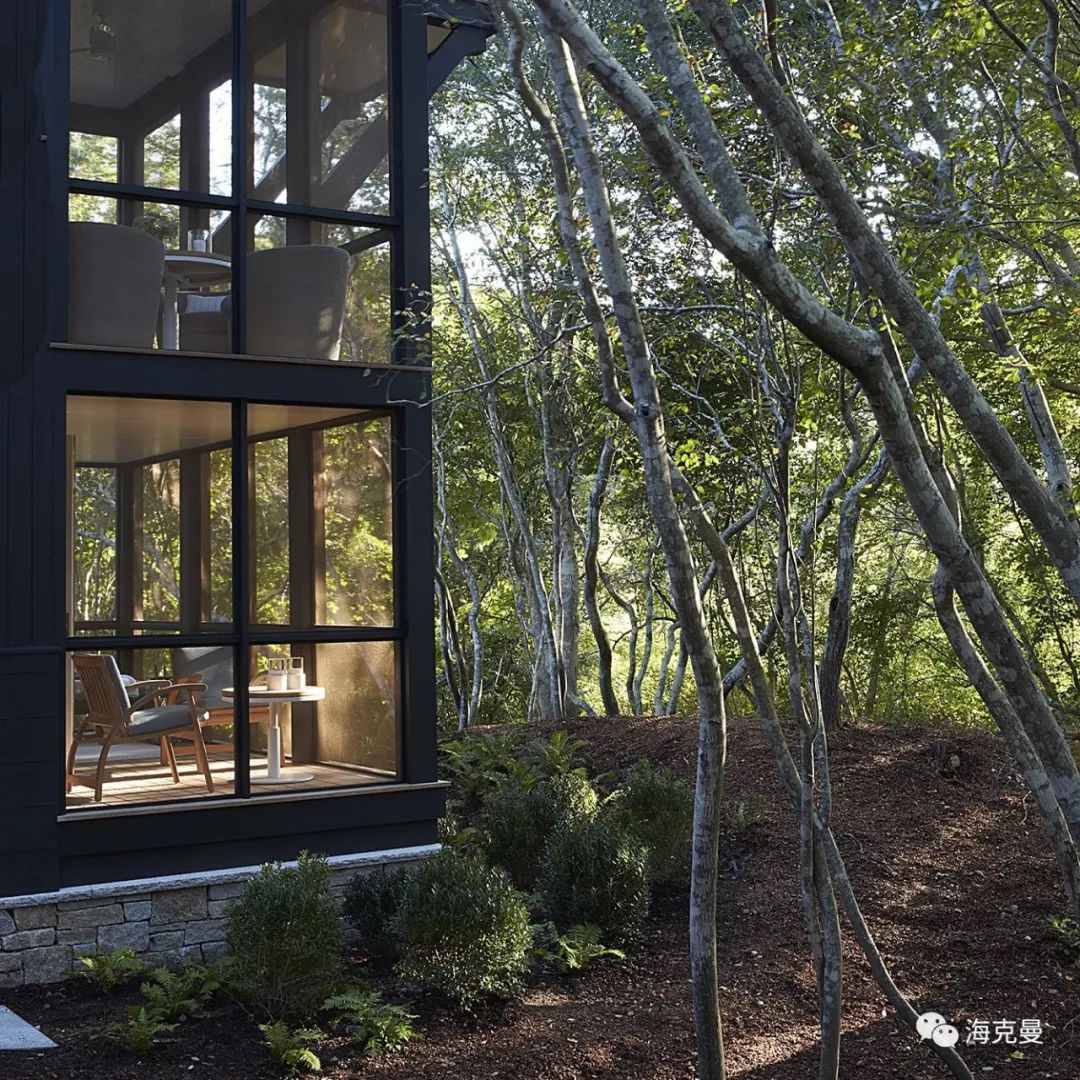 Ray Booth 新家：就像住在森林里-5