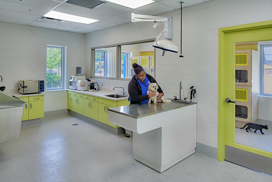 密歇根动物救援联盟丨美国丨PLY+-12