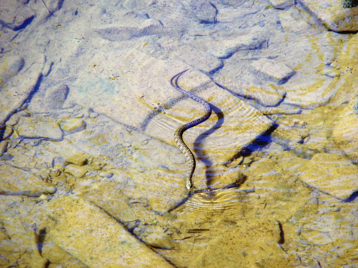 复古复兴 | 19 世纪 50 年代美国宾夕法尼亚州小威尼斯建筑群-146