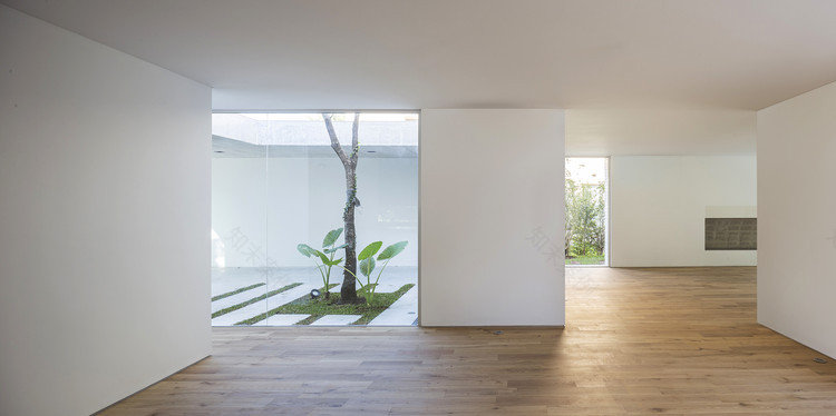 绿意盎然的新 Newman House-10