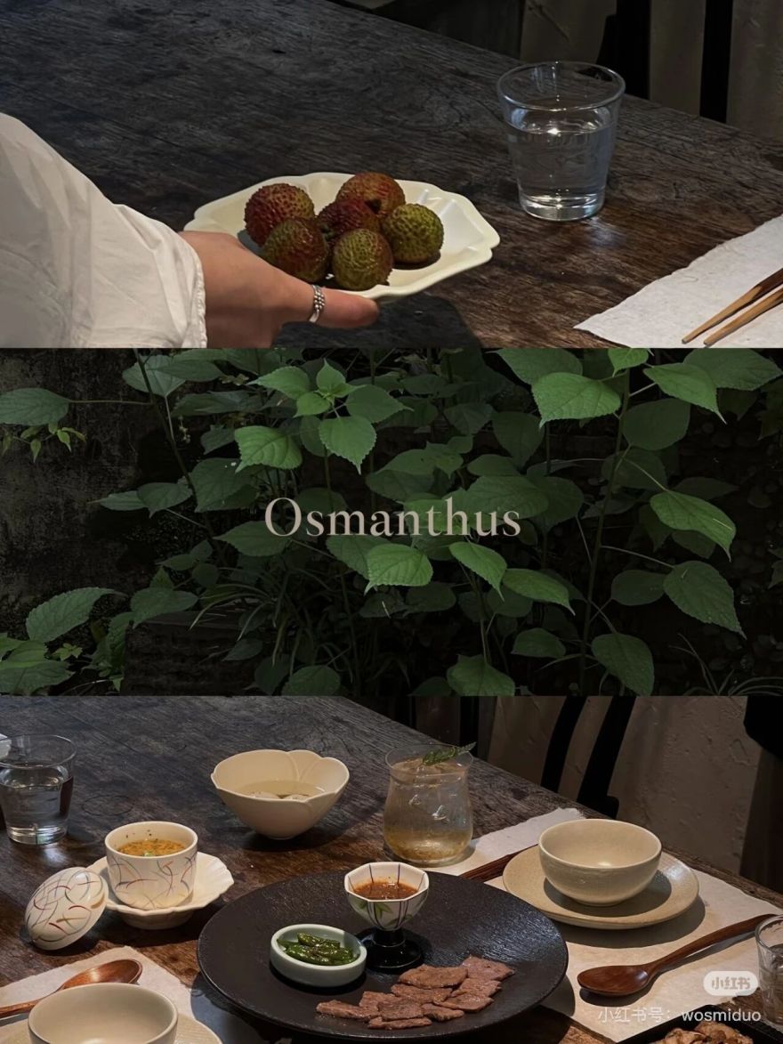 Osmanthus · 桂 · 山中料理丨中国杭州丨杭州观堂室内设计有限公司(空间),寸村传媒(标识)-46