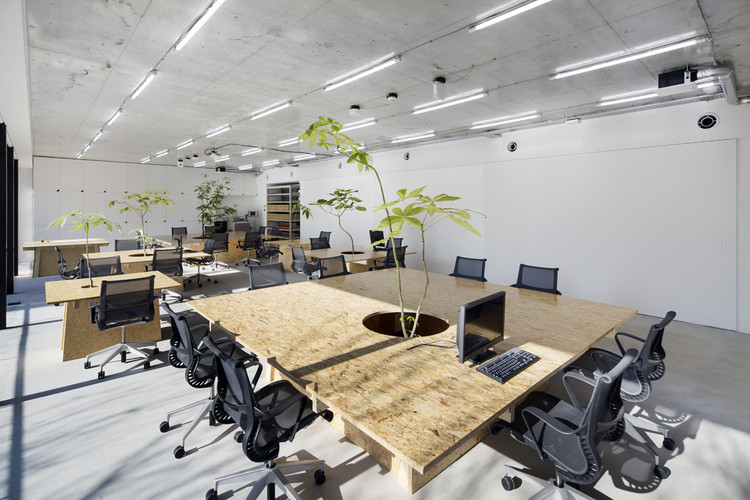 东京绿意盎然的中古商店-2