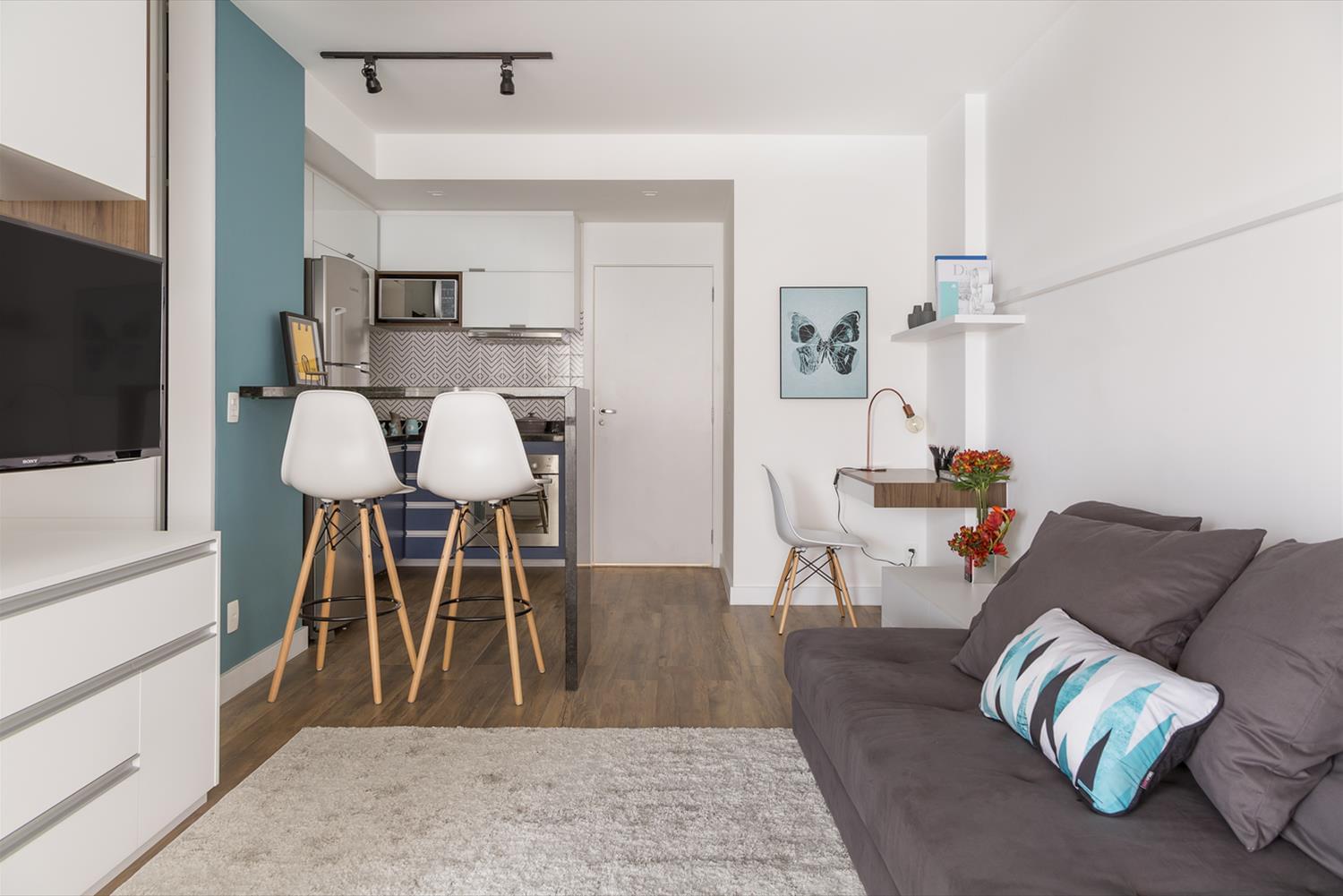 巴西经济适用公寓的精致设计-1