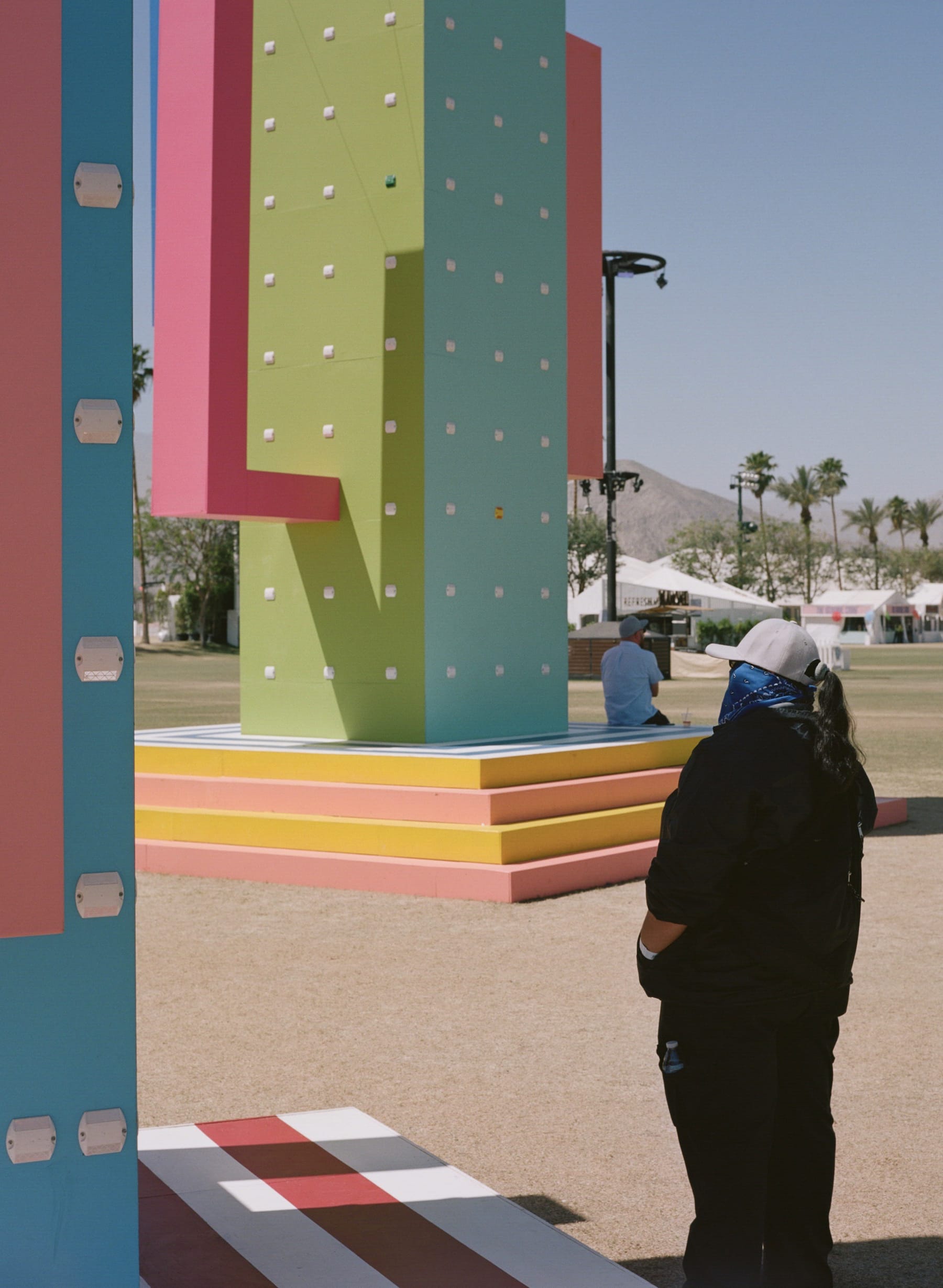 巨大仙人掌,科瓦奇办公室-29