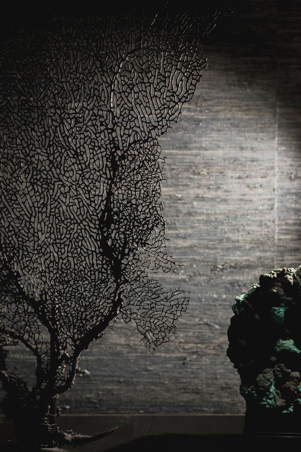 丨荷兰阿姆斯特丹-19