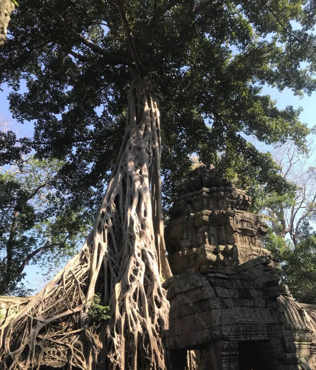 FW·GID国际柬埔寨艺术之旅-27